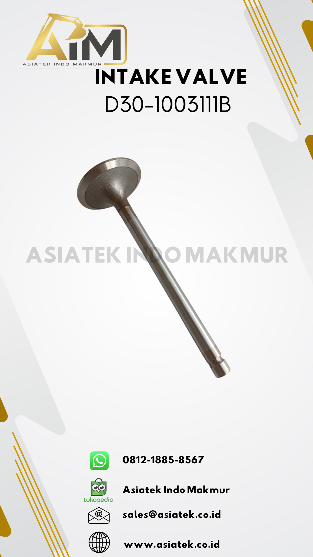 INTAKE VALVE D30-1003111B